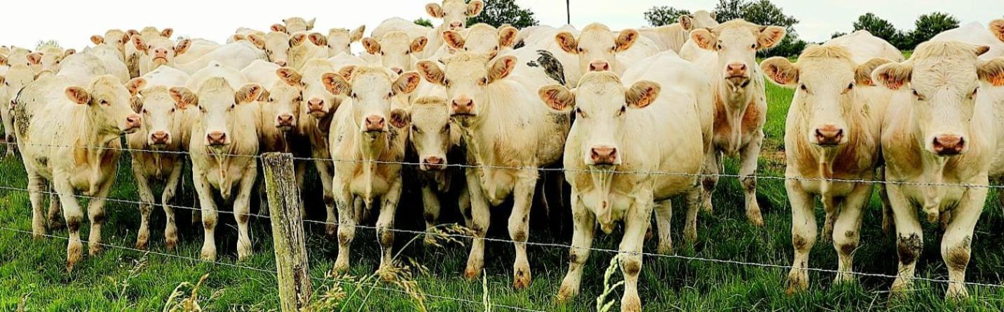 La Vache Tennis Prive Crux-la-Ville Eksteriør bilde
